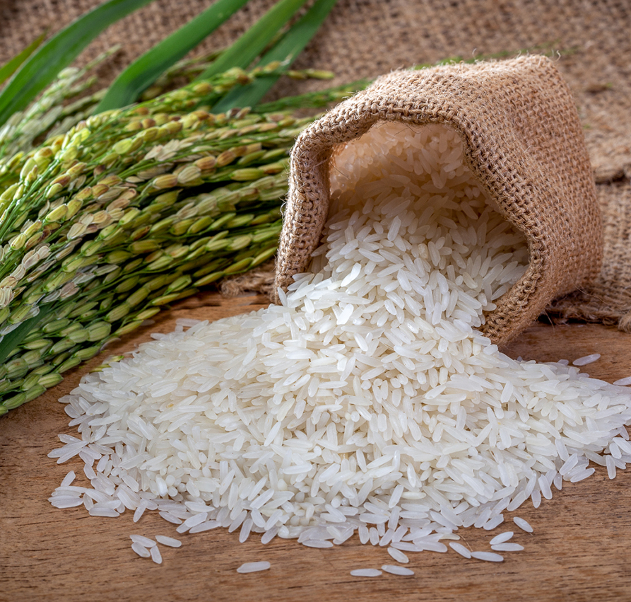 Basmati Rice